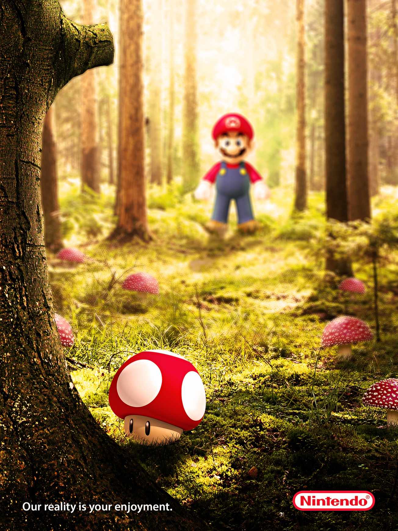 广告联盟服务器的价格因素