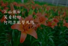 而大型、高性能的宝可梦服务器成本可能会更高,达到数十万甚至更多。-优乐评测网