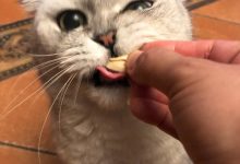 小哥探讨吃鸡游戏的服务器内存需求-优乐评测网