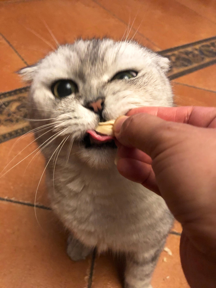 小哥探讨吃鸡游戏的服务器内存需求