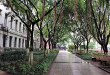 重庆医科大学缙云校区:云端的学府世界-优乐评测网