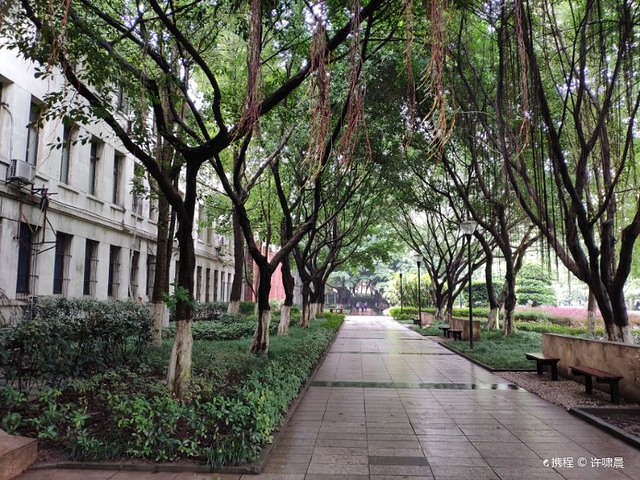 云端的学府世界