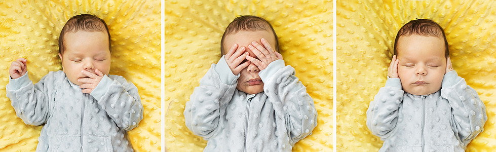 多个专业领域的融合创新实践研究