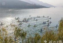 三峡集团云推动绿色能源发展-优乐评测网