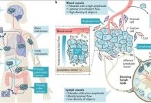 转移费用是多少？-优乐评测网