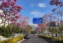 一、数字福建云计算中心:打造智能化服务新标杆-优乐评测网