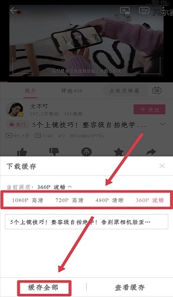 如何获取哔哩哔哩服务器具体IP地址