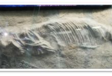 珍藏亿万年的地质历史，领略云端博物馆的魅力-优乐评测网