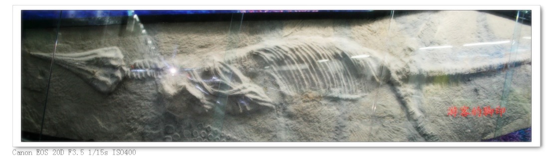 珍藏亿万年的地质历史