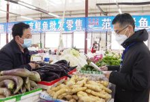 价格受市场供需波动影响-优乐评测网