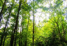 绿色数据中心技术创新与应用实例 (绿色数据中心是什么意思)-优乐评测网