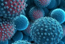 病毒恢复费用因病毒种类和攻击程度而异。-优乐评测网