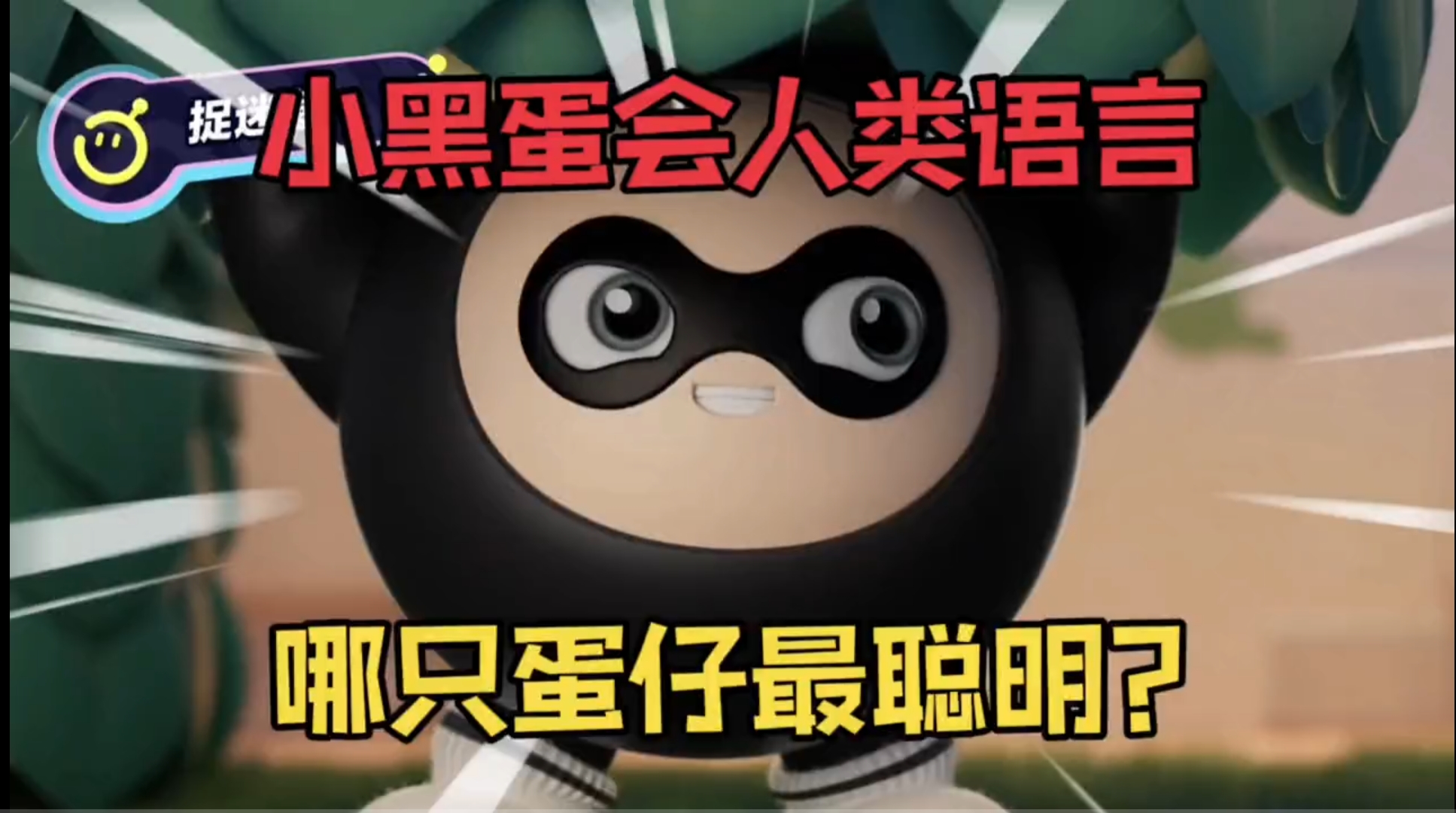 小哥分析服务器的不同大小套餐所提供的不同速度差异和特点