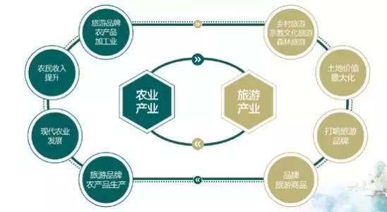 产业融合发展的蓝图与实践