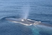 启程去世界尽头的冒险之旅,就从去哪儿云开始!-优乐评测网