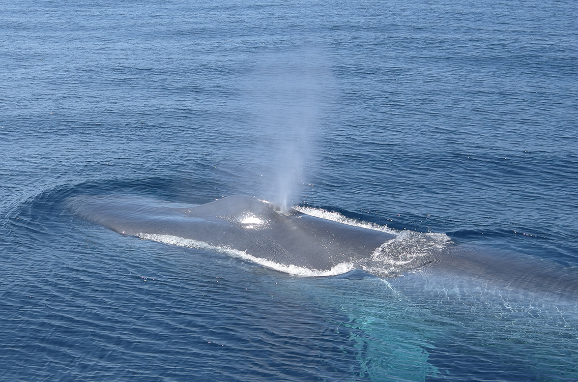 就从去哪儿云开始！