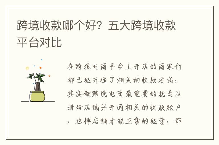 不同服务商收费差异明显