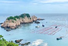 成为嵊泗经济新动力,展现智慧洋山独特魅力-优乐评测网