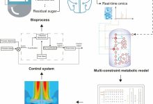 探索生物云技术的未来发展-优乐评测网