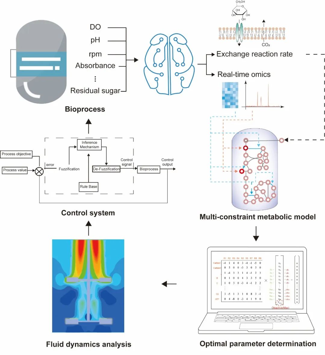 探索生物云技术的未来发展