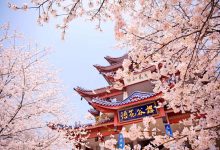 无锡云服务器价格大解析:最新报价及购买指南-优乐评测网