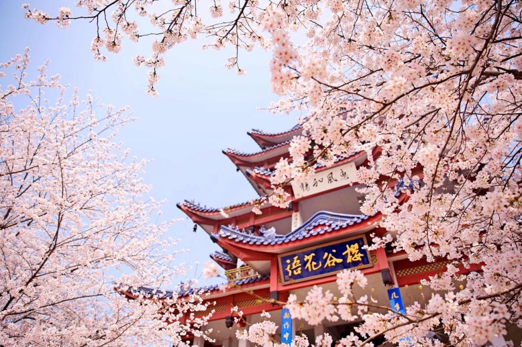 无锡云服务器价格大解析