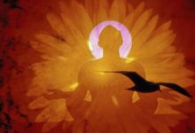 揭秘其强大性能与计算力-优乐评测网