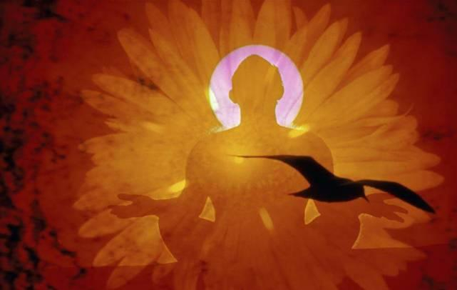 揭秘其强大性能与计算力