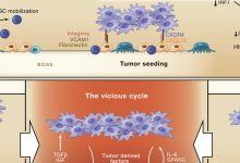 探究独立服务器成本,全面解析购买要素-优乐评测网
