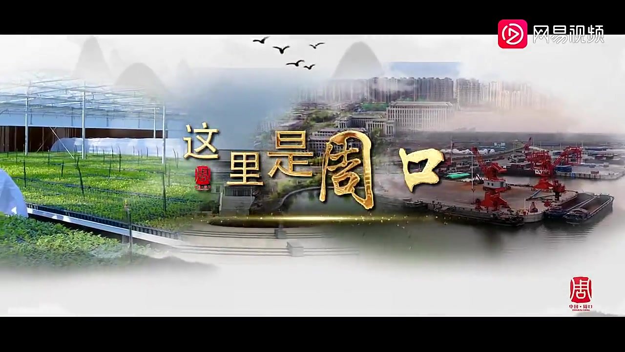 最新河南周口联通DNS服务器地址列表及使用方法