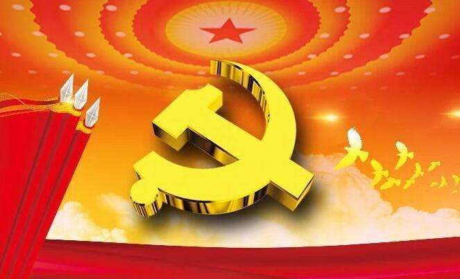 全面了解其性价比与价值所在