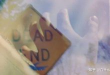 如何根据自身需求选择合适的伪装服务器-优乐评测网