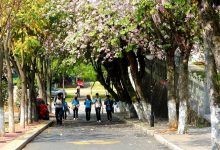 从校园风景到学术成就一览无余-优乐评测网