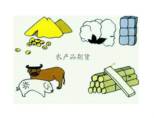 因素解析与选购建议