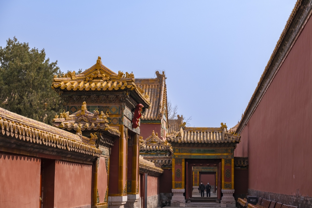 深探紫禁城服务器仙玉需求量与背后的故事