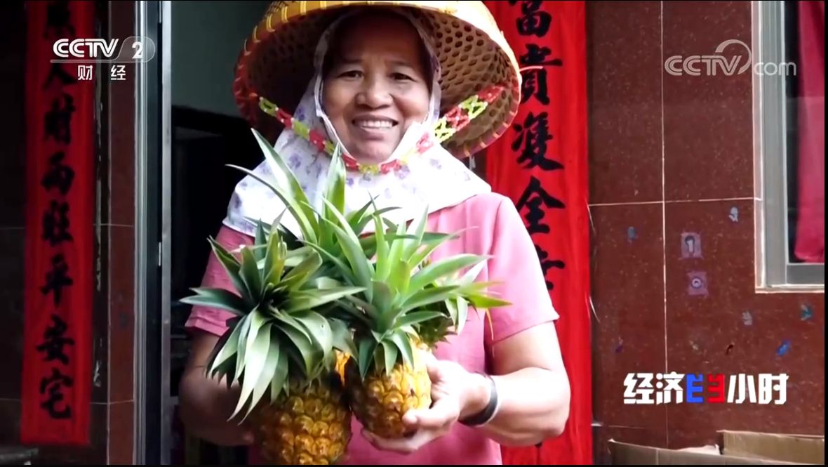 揭秘菠菜服务器的运营状态