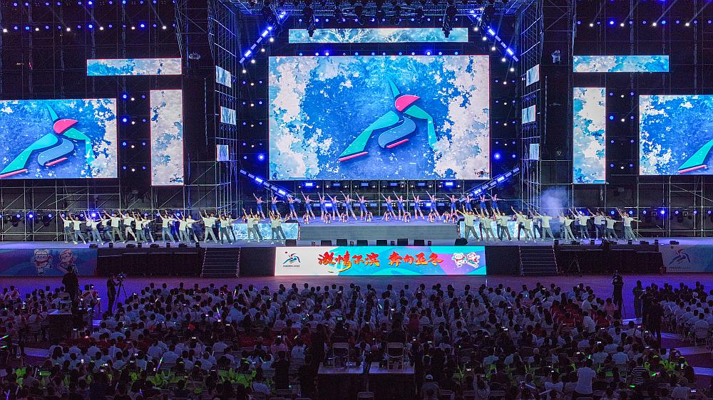 北美等各大区服务器分布与数量解析