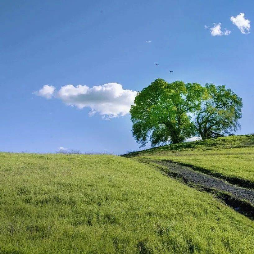 生态数字化领域先驱者的引领成就