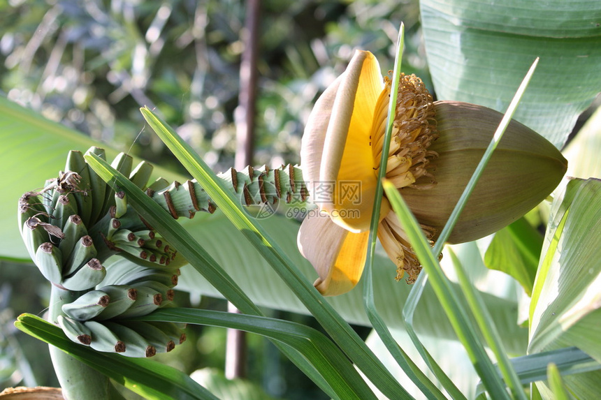 究竟可以换多少g