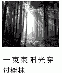 尺寸标准的影响因素与考量-优乐评测网