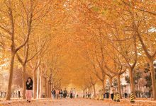 校园服务器价格究竟如何？带你了解-优乐评测网