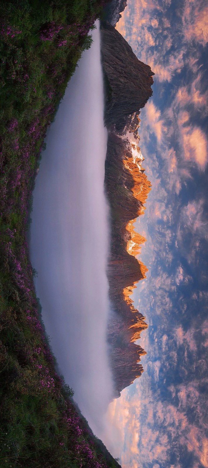 探访云上仙境狮子林管理处