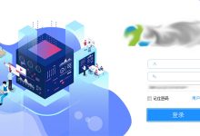 探寻国外服务器市场,合理预算选购策略。-优乐评测网