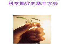 探究服务器租赁业务的运营所需人力资源-优乐评测网