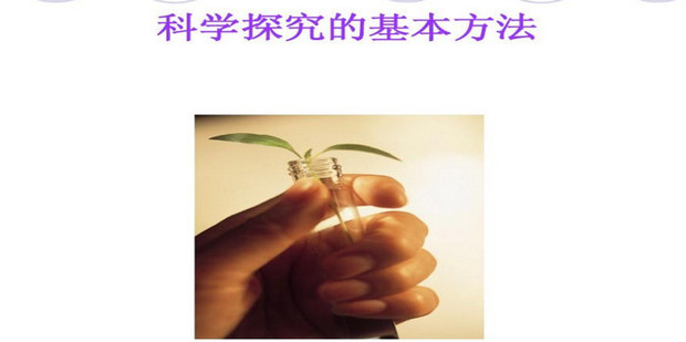 探究服务器租赁业务的运营所需人力资源