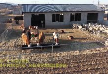 全面解析京东服务器价格及其因素。-优乐评测网
