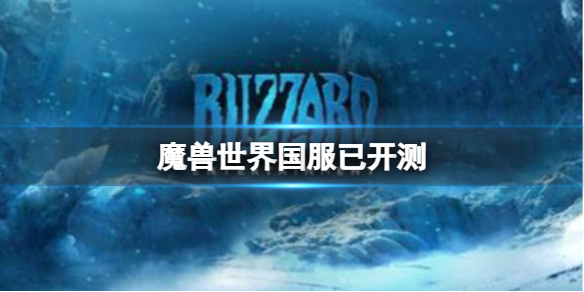 国服魔兽世界中的服务器组数量揭秘