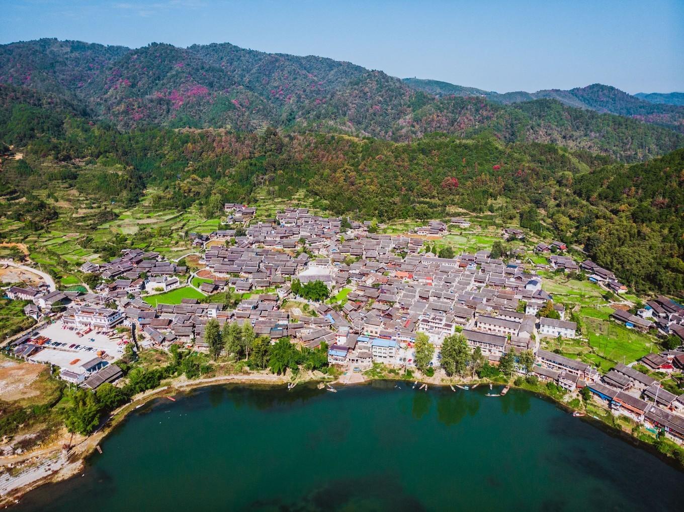 快速获取网络解析服务