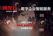 畅捷通云服务器年费价格解析-优乐评测网