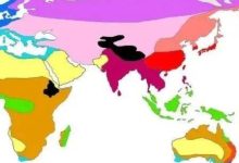 全球各地的域名服务器竞相参与,众多国家竞相加入域名市场格局重塑行列-优乐评测网